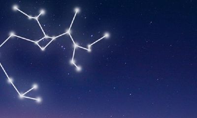 天蝎座十二星座排名第几（十二星座最强大的星座）