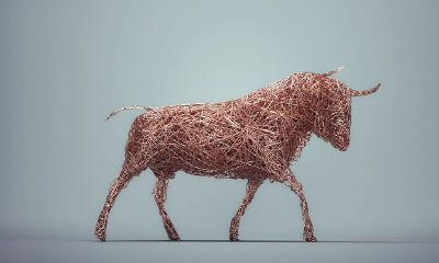 都说属虎的人总是考虑别人（为什么那么怕属虎的人）