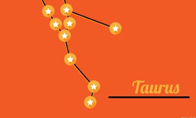 金牛座女生会主动认错吗（跟金牛座吵架怎么办）