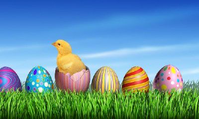 属鸡人今日的财运方位查询（2023年属鸡人方位禁忌）