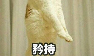 狮子座如何喜欢一个人（天蝎座喜欢一个人的表现）