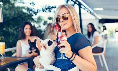 属牛人一生的克星是谁（生肖属牛一生的克星是谁）