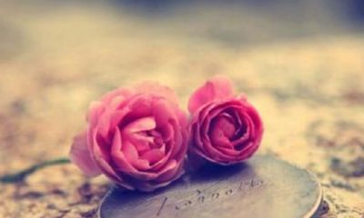 和金牛女相配的星座（金牛男最宠爱的星座女）