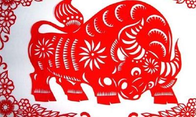 属马干什么一碰就发财（属马的人今年财运如何）