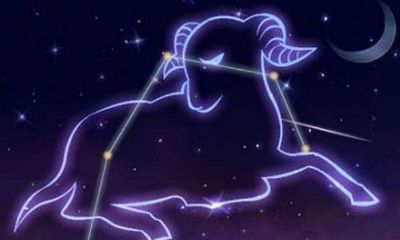 怎么讨好白羊座女生（追白羊座女生几个步骤）