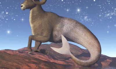 摩羯座全年运（摩羯座今后十年大运）