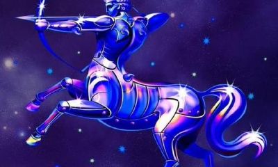 表面精实际傻的星座（看起来聪明其实很傻的星座）