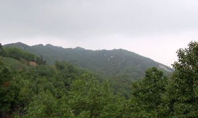 平原出大官的坟地风水（发财发人丁最快的风水宝地）