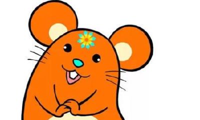 十二生肖智商排行（十二生肖智商排名大全）