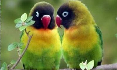 合八字上上婚（八字合婚合了八个字好吗）