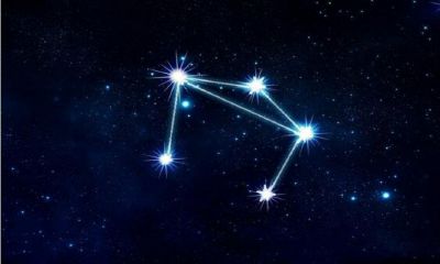 天秤座的人很佛系（会用生命保护天秤女的星座男）