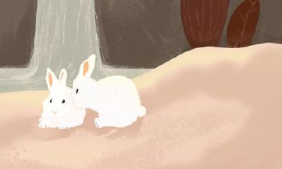 2023年75年属兔女财运（75年兔2023年运势及运程）