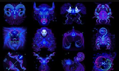 12月6日是什么星座（11月10日出生的是什么星座）