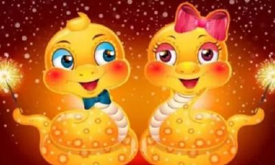 属蛇今日幸运数（属兔的终身的幸运数字）