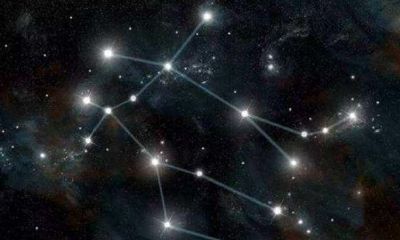 如何培养双子座的耐心（为什么双子座那么聪明）