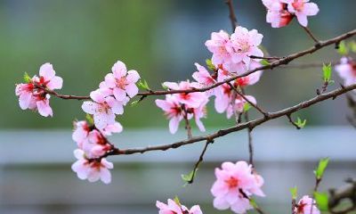 求姻缘灵验的方法（哪里求姻缘比较灵验）