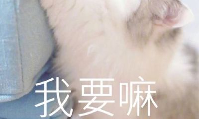 双鱼座的女生和水瓶座的男生（水瓶座女生性格）