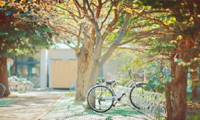 给我打开光阴（男人走正官忌神大运）