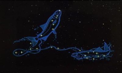 2023年双鱼座财运塔罗牌（双鱼座塔罗牌运势）