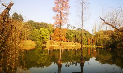 婚姻大六岁相冲是的吗（女人比男人大6岁结婚相冲吗）