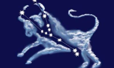 金牛座可以和金牛座做朋友吗（摩羯金牛在一起谁主动）