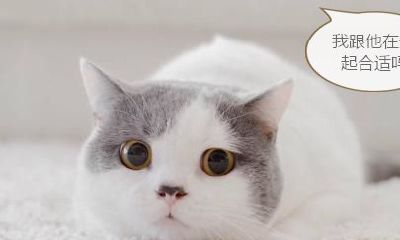 射手座女双鱼座男配对（双鱼男和水瓶女座配对指数）