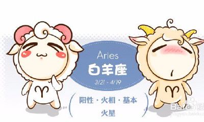 十二星座最招桃花运的物件（十二星座谁的桃花运最好）