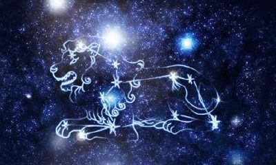 狮子座的逻辑思维（狮子座和天蝎座）