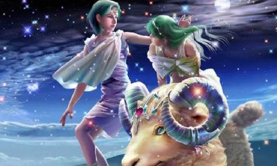 白羊的下一个星座是什么星座（双鱼座下一个是什么星座）