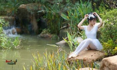 双子座注定辜负哪个星座（双子座最依赖的星座）