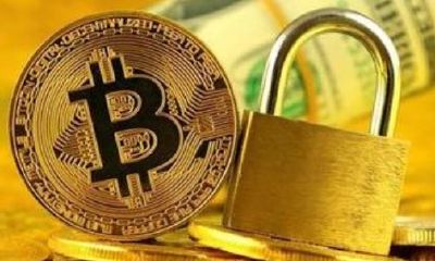 辛末日柱精论（辛未日柱详细论命）