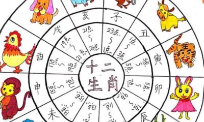 十二生肖配对时辰（生肖时辰婚姻配对表）