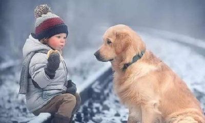 82年出生的属狗人2023年（1970年属狗贵人是谁）