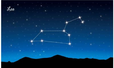 狮子座暗恋谁（暗恋狮子座的星座）