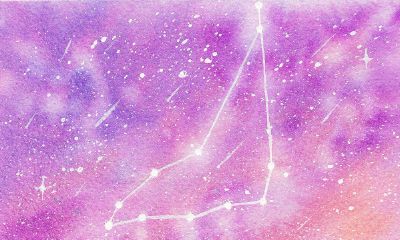 摩羯座桃花运如何（2023摩羯座的正缘桃花）