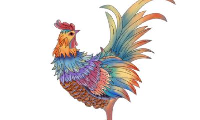 属鸡的的人性格（属鸡人的性格和优缺点）