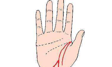 我要看看手相生命线的讲解（手相如何看生命线）