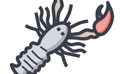 女强人一般是哪个星座（天生就是女强人的星座女）