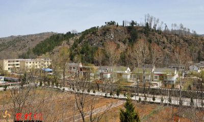 洛南麻坪神婆看得好不（为什么做神婆没好下场）