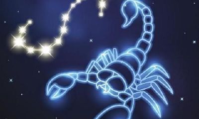 天蝎座会理前任吗（天蝎座会挽回前任吗）