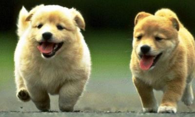 紫微圣人最新情况（2001属蛇男今年命运怎么样）