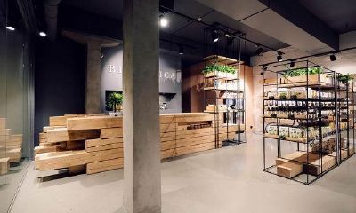 店名吉凶免费查询水命（查店名吉凶测试打分测试）