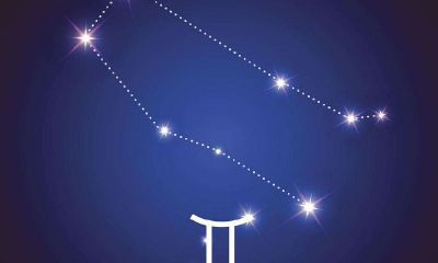 双子座喜欢画画（12星座谁最怕双子座）