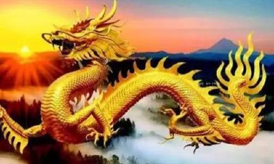 2023年生肖龙年龄对照表（生肖龙年份对照表年龄）