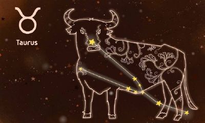 天秤座实力越强越低调（为什么天秤座比天蝎座还聪明）