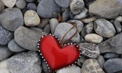 世间真有缘分吗（世上真有缘分这东西吗）