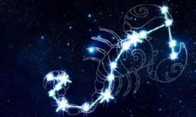 天蝎座好冷漠怎么办（天蝎座性格男）