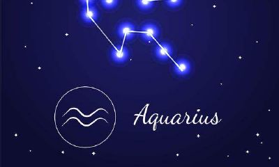 双子座面对喜欢的人会很怂吗（双子男真爱就很怂）