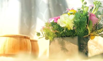 如何让狮子座的男生喜欢上你（怎么让狮子座男生重新爱上你）