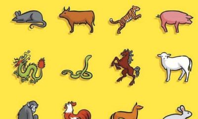 按照十二生肖的顺序排列（农历十二生肖顺序）